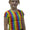 Rainbow Stripe Crop Top Short Sleeves