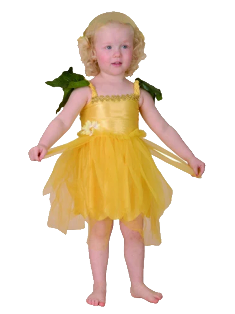 Toddler Flower Fairy Fancy Dress Costume