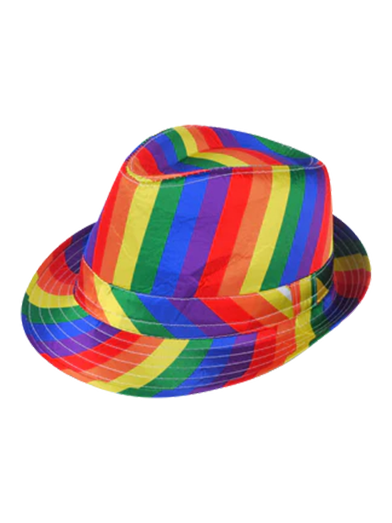 Adult Rainbow Pride Hats