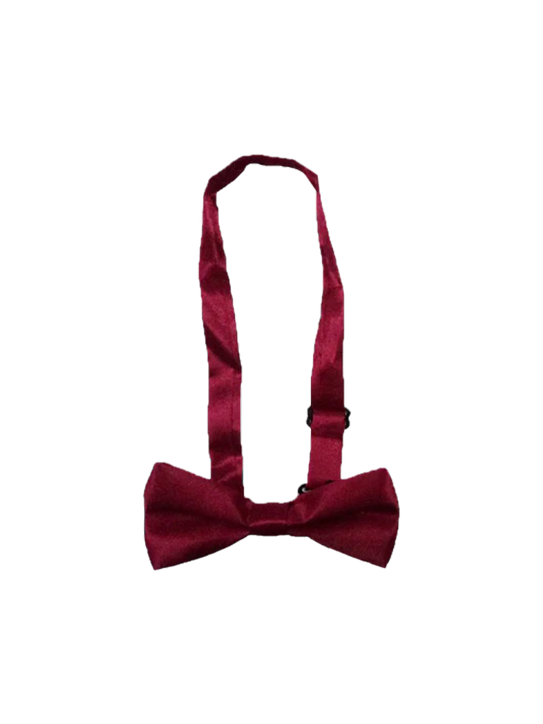 Neck Bow Ties