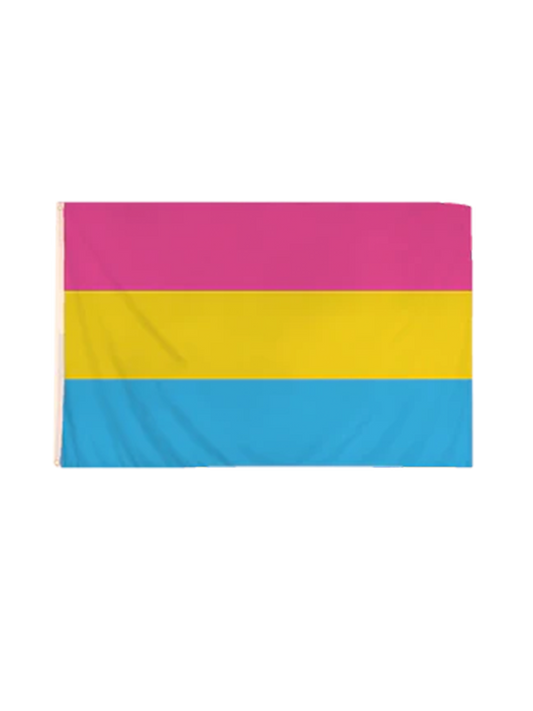 Pride / LGBTQIA+ Flags pansexual