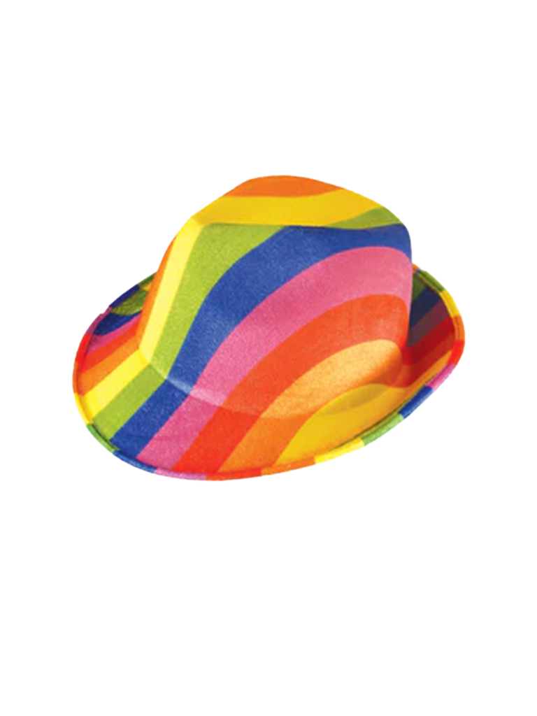 Adult Rainbow Pride Hats