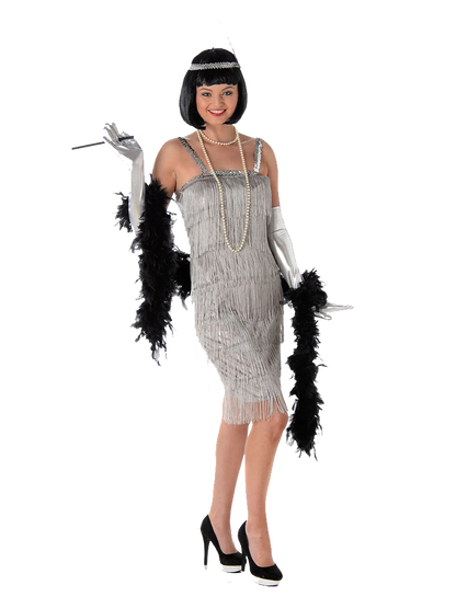 Silver Flapper Dress