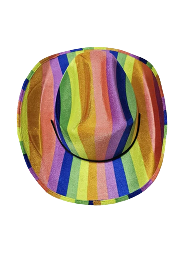 Adult Rainbow Pride Hats