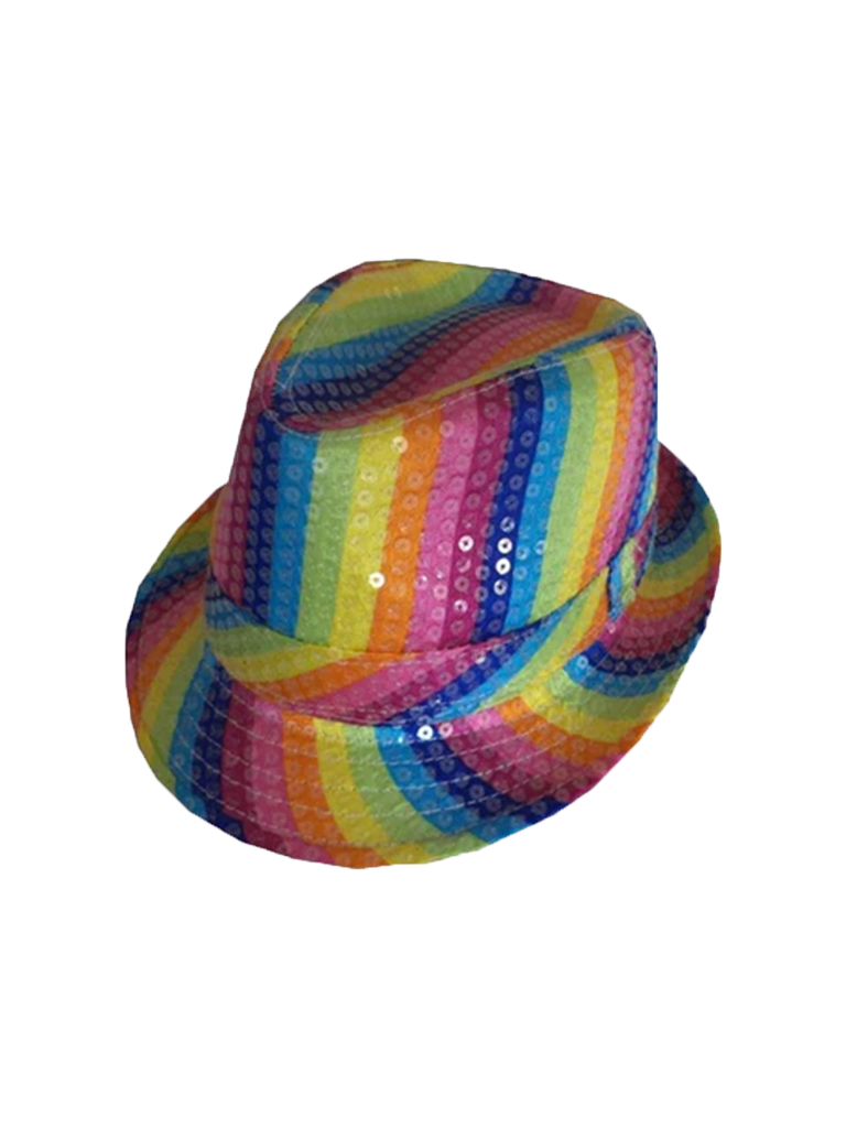 Adult Rainbow Pride Hats