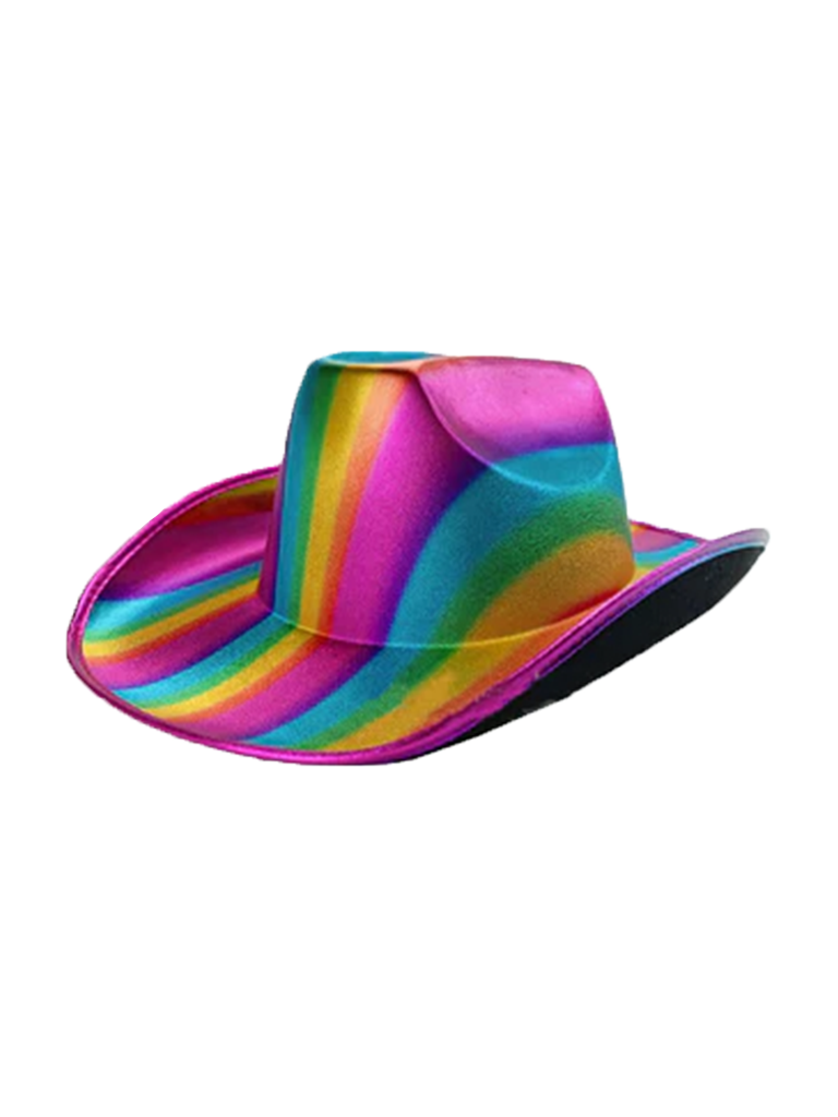 Adult Rainbow Pride Hats