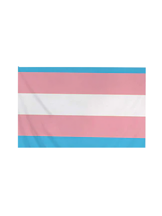 Pride / LGBTQIA+ Flags transgender
