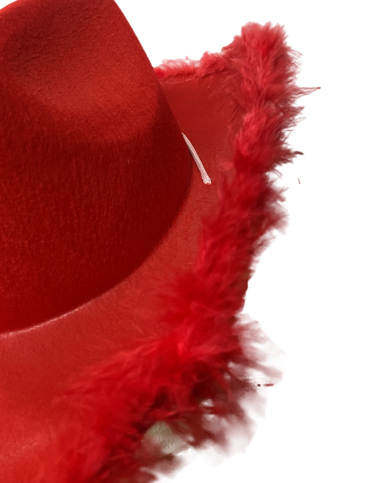 Adult Wild West Cowboy Hat With Feather Trim