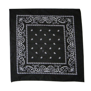 Paisley Bandana