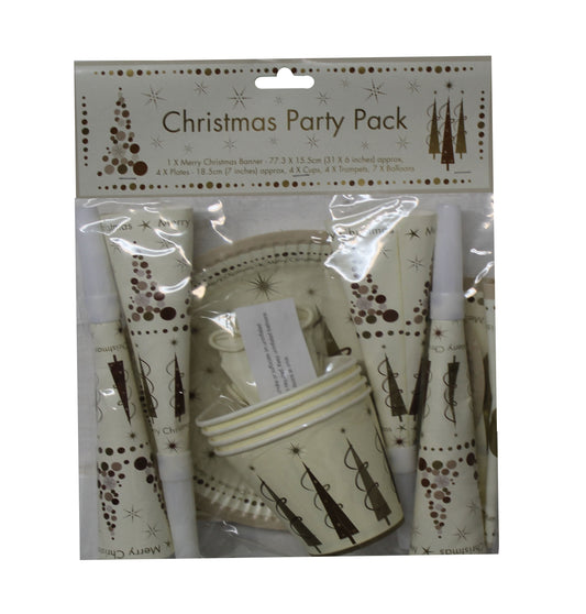 Christmas Party Pack Decoration