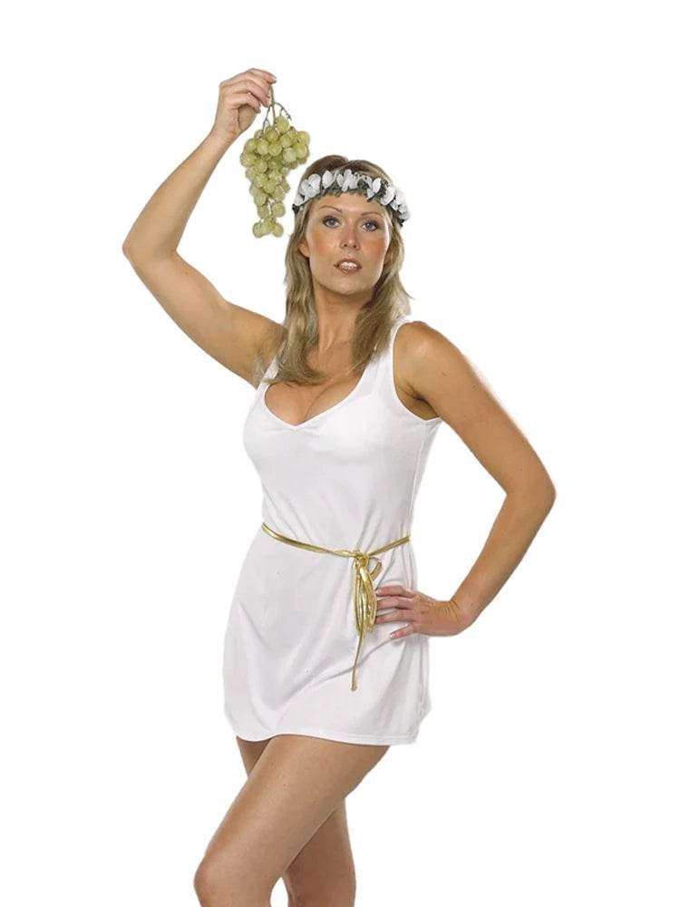 Greek Goddess Toga Costume - thefancydress.co.uk