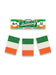 Irish Flag bunting 4m (11 Flags) St Patrick's Day
