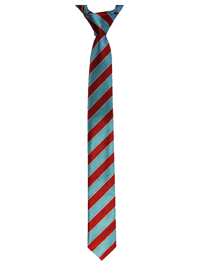 Striped Neck Tie