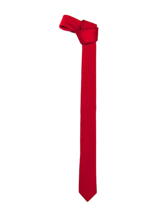 Men's Satin Plain Neck Ties red