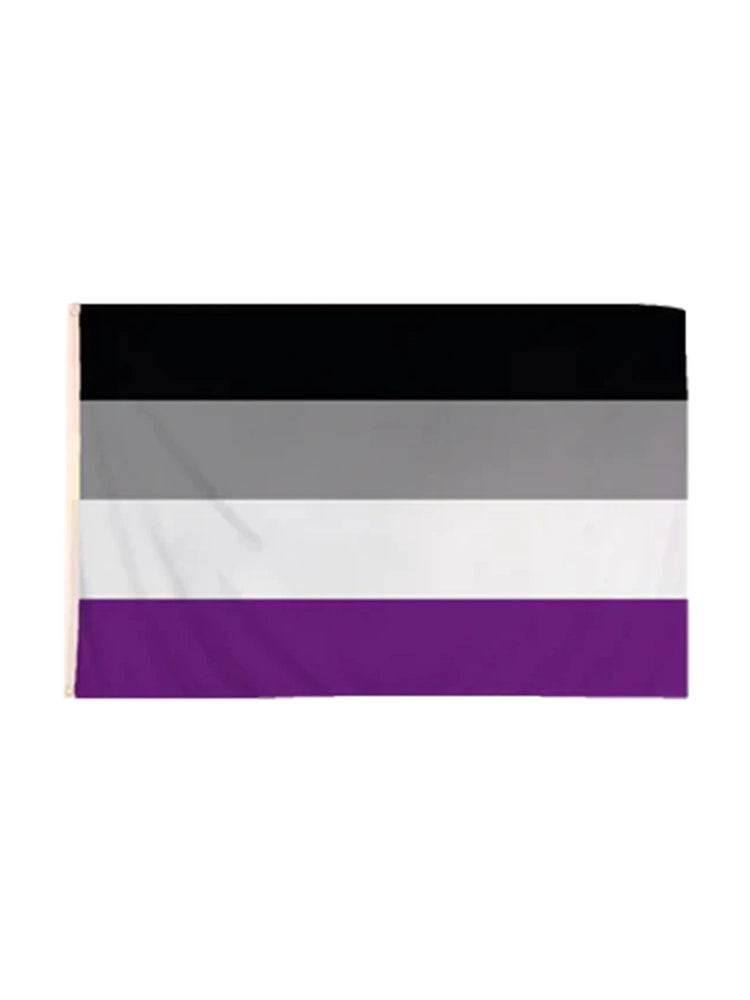 Pride / LGBTQIA+ Flags - thefancydress.co.uk