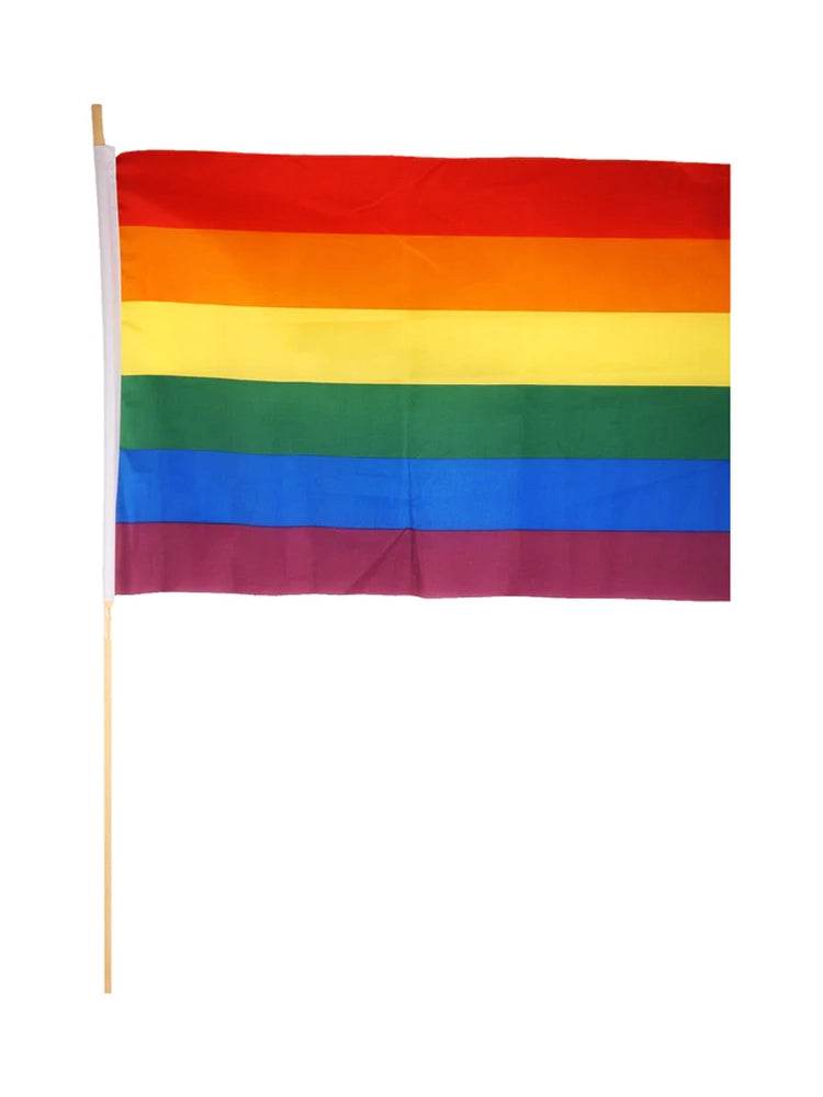 Pride / LGBTQIA+ Flags - thefancydress.co.uk