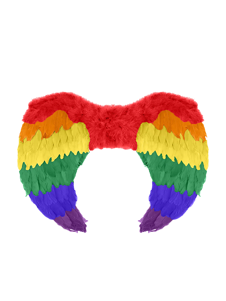 Rainbow Wings