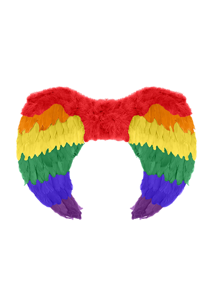 Rainbow Wings