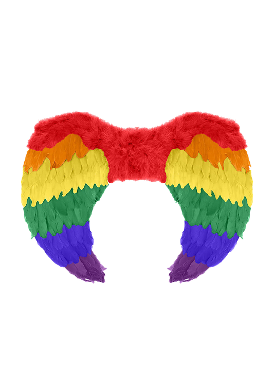 Rainbow Wings