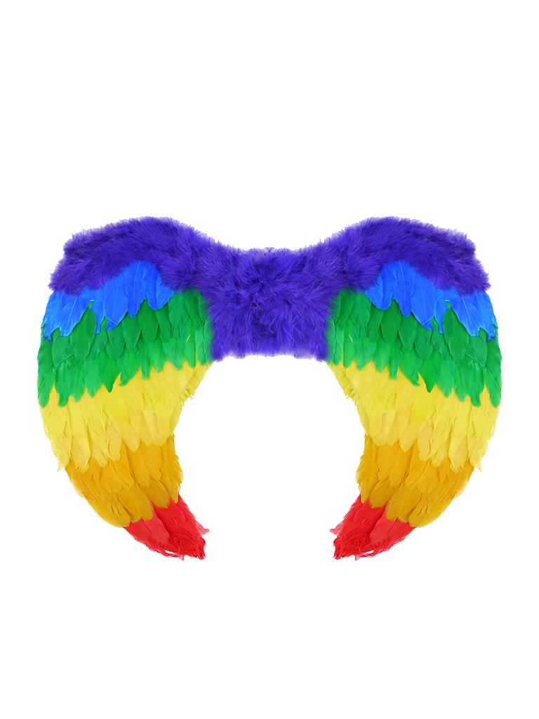 Rainbow Wings 1