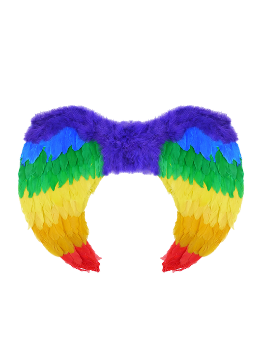 Rainbow Wings 1