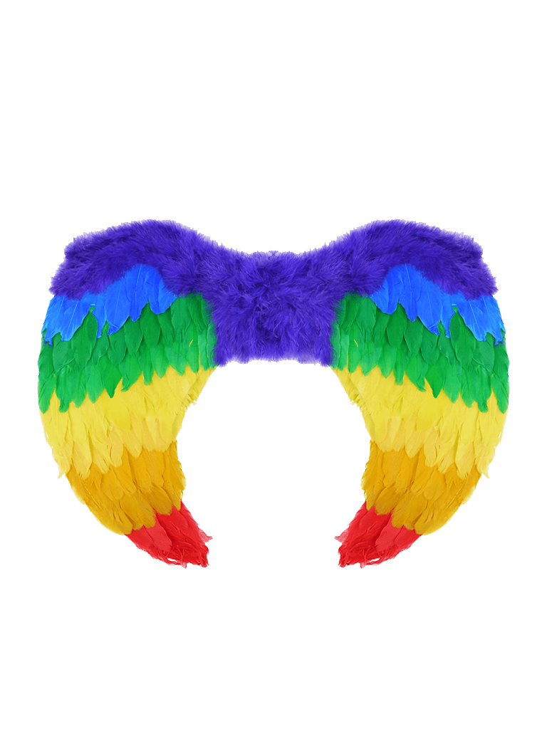 Unisex Rainbow Foldable Angel Feather Wings
