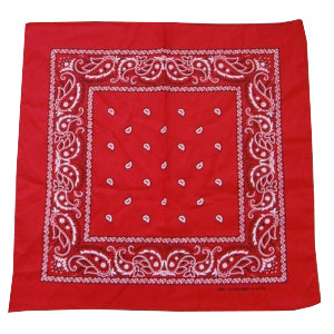 Paisley Bandana