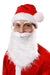 Santa Beard

