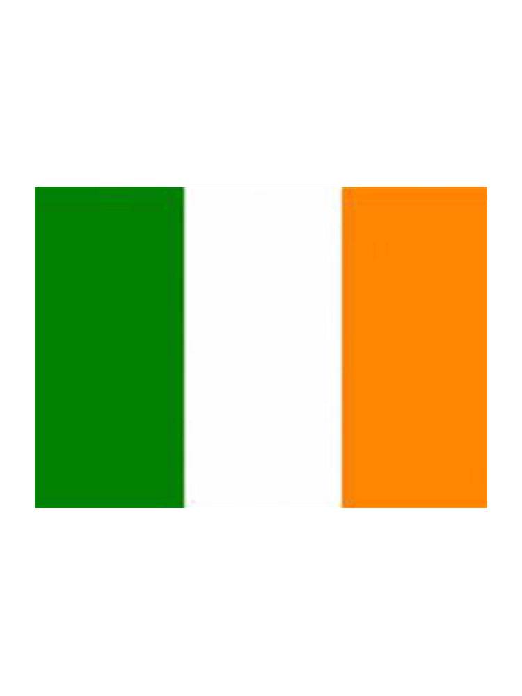 St. Patrick's Day Irish Flag (5ft x 3ft) - thefancydress.co.uk