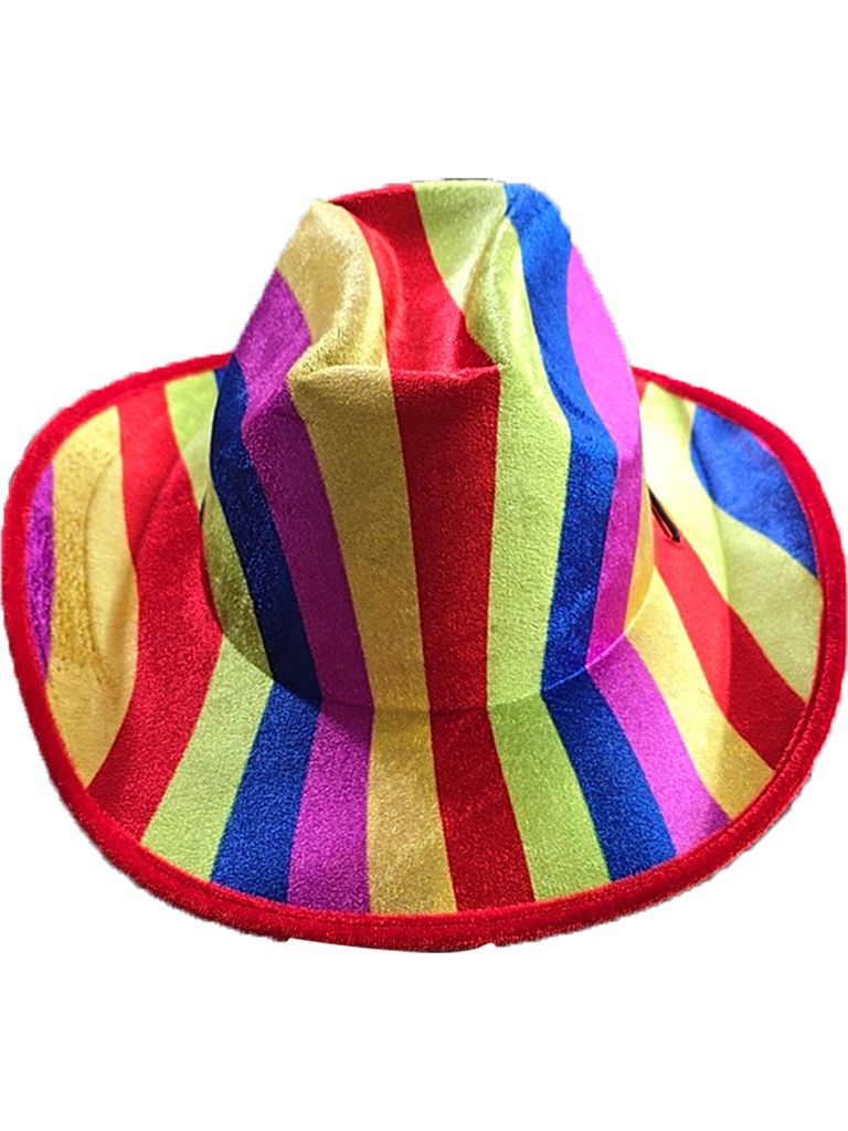 Adult Rainbow Pride Hats