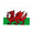 Wales Flag 5ft X 3ft