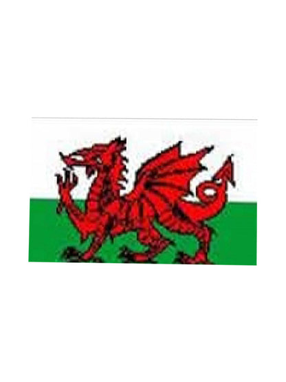 Wales Flag 5ft X 3ft