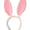 Bunny Rabbit Ears Aliceband pink