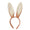 Bunny Rabbit Ears Aliceband