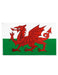 Wales Red Dragon Cymru UK World Country Flags 5ft X 3ft