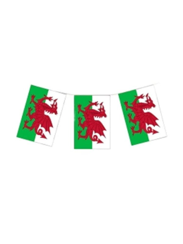 Wales Flag Bunting 10m (20 Flags) - thefancydress.co.uk
