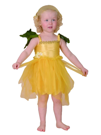 Yellow Fairy Costume