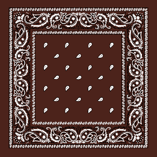 Paisley Bandana