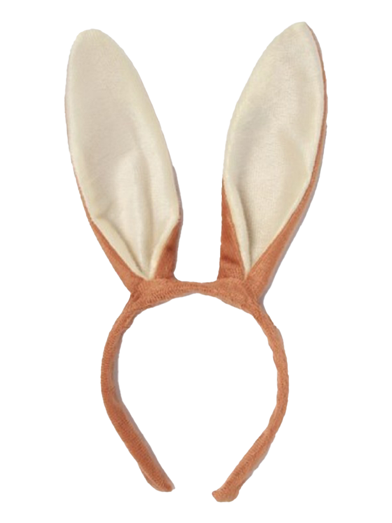 Animal Ears Aliceband