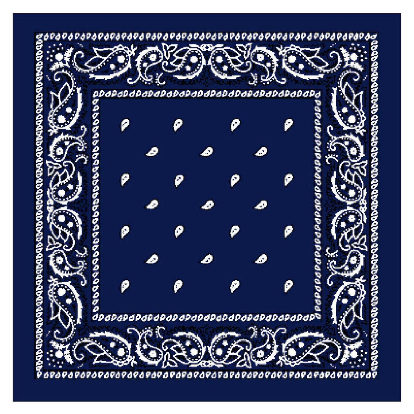 Paisley Bandana