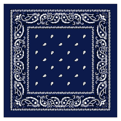 Paisley Bandana