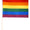 Gay Pride LGBTQIA+ Flags