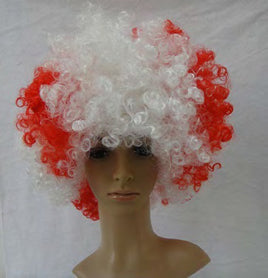 Afro Wigs