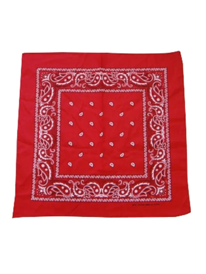 Boys Pirate Costume Set - Striped T-shirt, Hat & Bandana red bandana