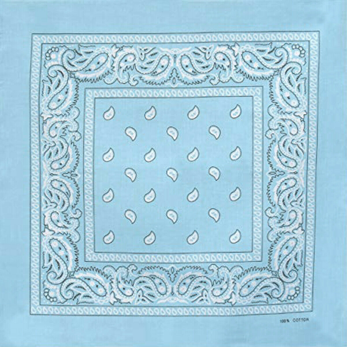 Paisley Bandana