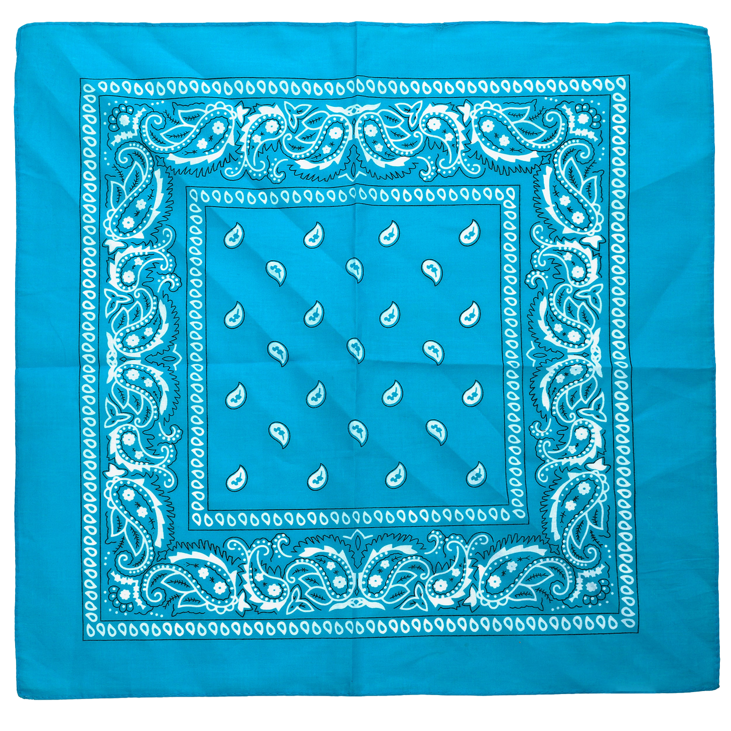 Paisley Bandana