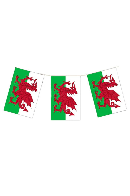 Wales Flag Bunting 10m (20 Flags)