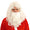 Santa Wig with Beard & Eyebrows