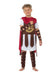 Boys Roman Gladiator Warrior Historical Costumes Historical
